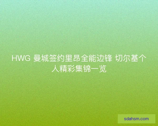 HWG 曼城签约里昂全能边锋 切尔基个人精彩集锦一览