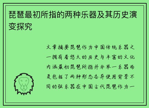 琵琶最初所指的两种乐器及其历史演变探究